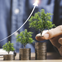 Mano colocando una planta sobre monedas apiladas que simbolizan crecimiento financiero
