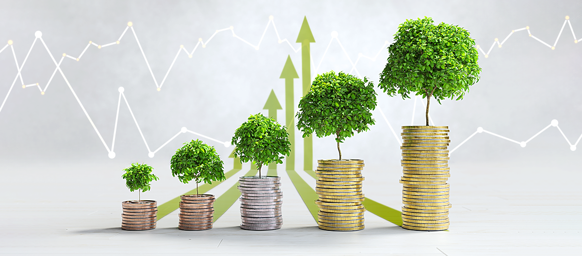 Crecimiento financiero representado con pilas de monedas y árboles, ahorro e inversión en el Banco Nacional de Costa Rica BNCR.