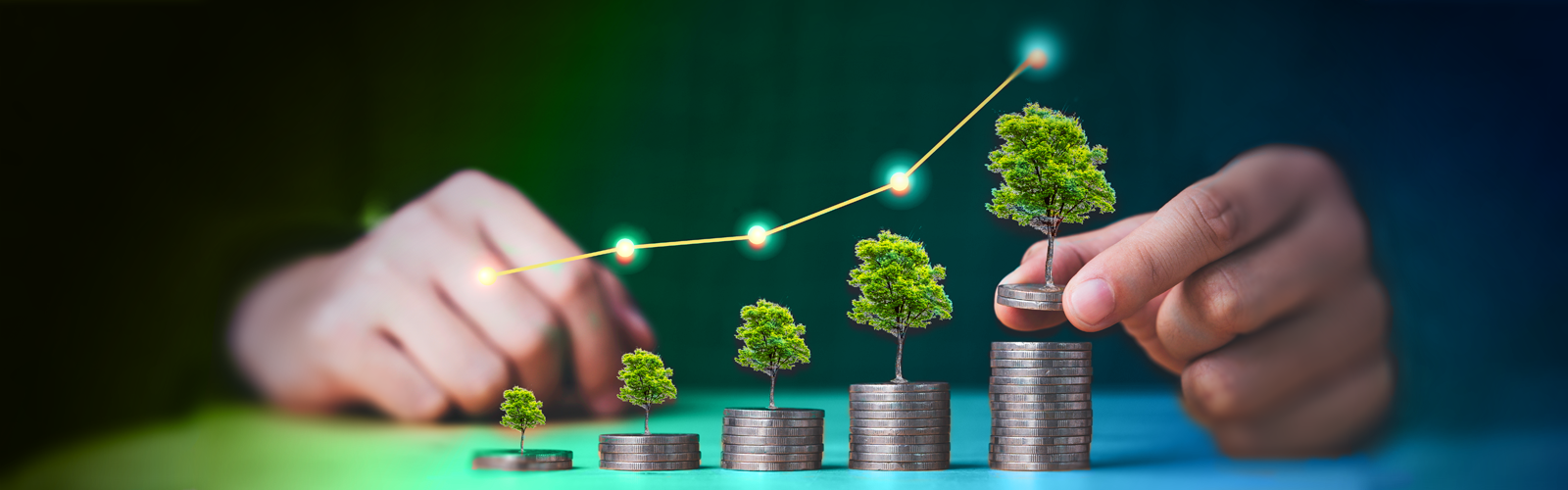 Crecimiento de inversiones representado con árboles sobre monedas, DinerFondo del Banco Nacional de Costa Rica BNCR.
